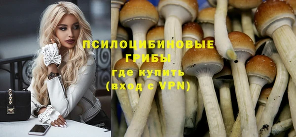 соль курить ск Горняк