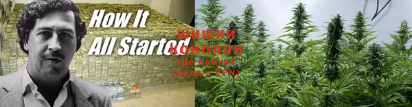 трава Горнозаводск