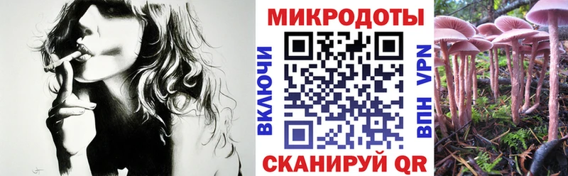 Купить  Лихославль  Псилоцибиновые грибы Psilocybine cubensis 